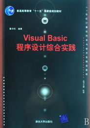 Visual Basic程序設(shè)計綜合實踐——21世紀計算機科學與技術(shù)實踐型教程評介